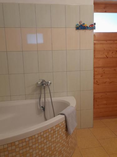 Koupelna v ubytování APARTMÁN ČESKÁ KANADA