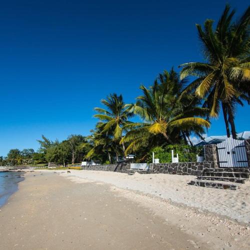 une plage avec deux palmiers et un bâtiment dans l'établissement Islands View - Mazor Beach Villas, à Grand Gaube