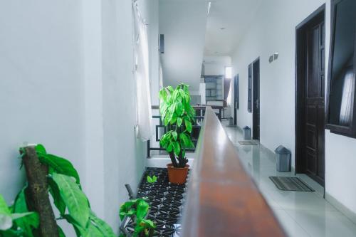 a hallway with plants on the floor of a building at Lia Homestay Syariah Pettarani Makassar Mitra RedDoorz in Makassar