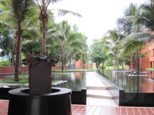 Κήπος έξω από το Las Tortugas Apartment Unit C101