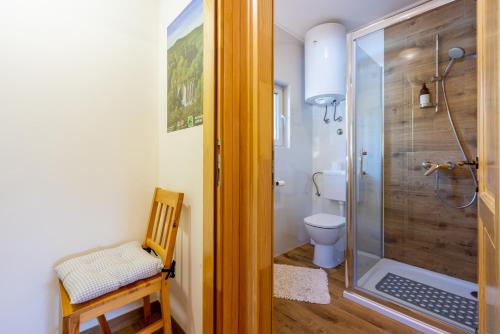 a bathroom with a shower stall and a toilet at Holiday Home Mali Medo in Gospić