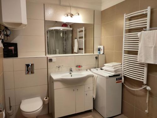 uma casa de banho com um lavatório, um WC e um espelho. em Apartament Wera em Kościelisko