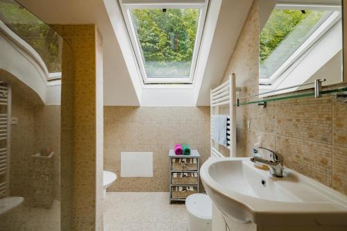 a bathroom with a sink and a skylight at Na Želivce chalupa Marie in Želiv