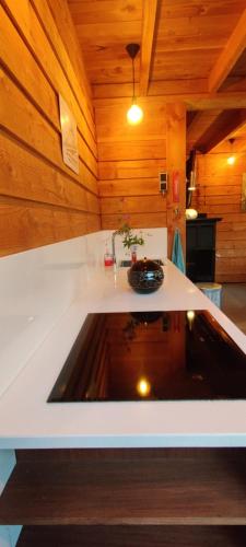 a kitchen with a sink in a room with wooden walls at Ecolodge Tilburg met zwembad in groene oase bij centrum in Tilburg