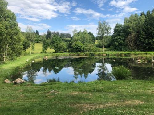 a pond in the middle of a field with trees at PEGASUS I - 2 chambres de luxe, cuisine, salon, 2 terrasses et sauna in Vielsalm