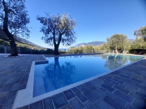 basen z drzewem w środku w obiekcie Apartament Kormorano w mieście Malcesine