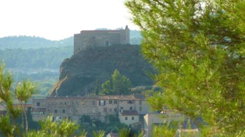 a castle on top of a hill with trees at Appartement d'une chambre avec vue sur la ville terrasse amenagee et wifi a La Garde a 6 km de la plage in La Garde