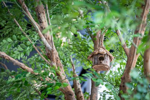 a bird house hanging from a tree at Best Western M-Treize Paris Asnieres in Asnières-sur-Seine