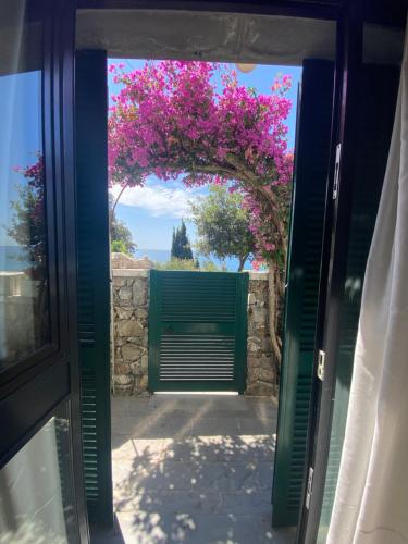 an open door with a pink bougainvillea at Hotel Leopold in Moneglia