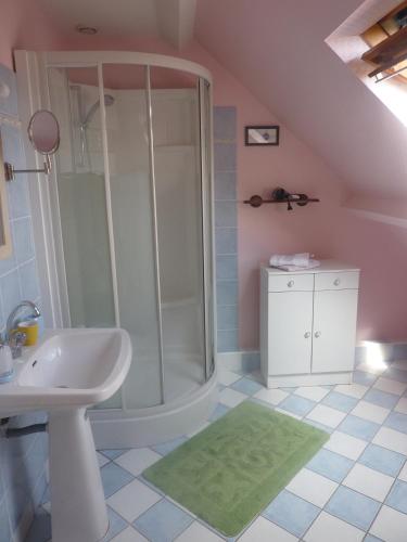 une salle de bain avec douche et lavabo dans l'établissement Chambre D'Hote, à Roz-Landrieux