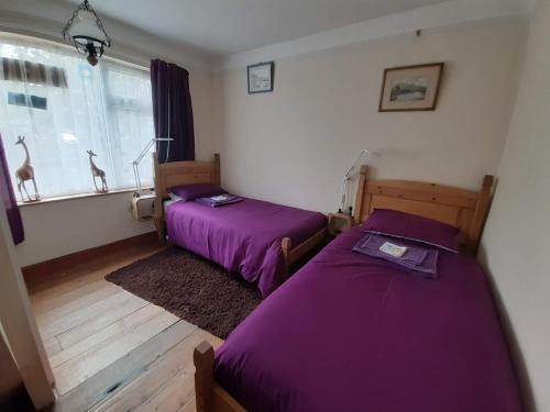 two beds in a room with purple sheets and a window at Littleholme in Potter Heigham