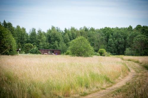 un champ avec une maison et un chemin de terre dans l'établissement Kurkse KUUR, à Kurkse