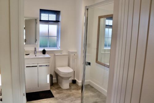 a bathroom with a toilet and a sink and a shower at Lawnside 2 in Budleigh Salterton