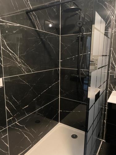 La salle de bains est pourvue d'une douche et d'un mur carrelé noir. dans l'établissement Appartement neuf avec garage, à Andance
