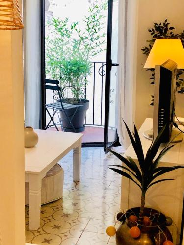 a living room with a table and a plant at Precioso piso en el centro neurálgico de Olot in Olot