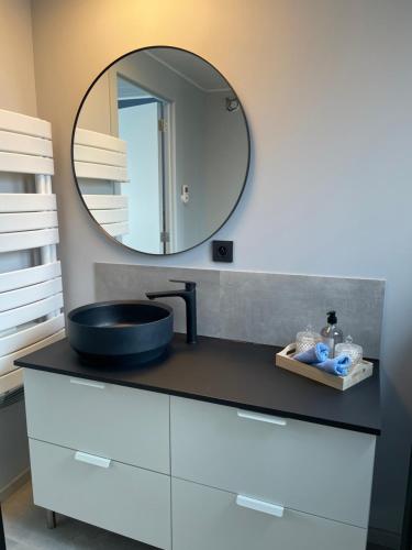 bagno con lavandino e specchio su un bancone di Tiny House in Limburg bij Kelly & Nick a Ham