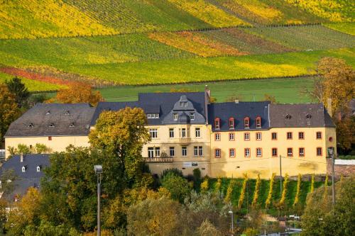 a large building in the middle of a vineyard at Schwalbennest auf dem Weingut Arthur Melsheimer in Maring-Noviand