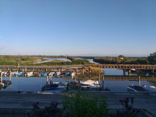 un grupo de barcos atracados en un puerto deportivo con un puente en Ae masanete en Marano Lagunare