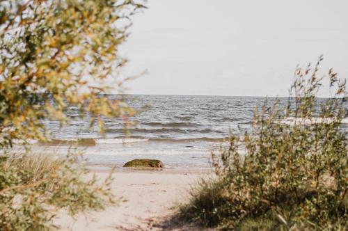Gallery image of Beach House Kaltene in Kaltene