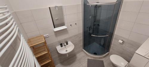 La salle de bains est pourvue d'une douche, de toilettes et d'un lavabo. dans l'établissement Penzion Šiškovna, à Jívka