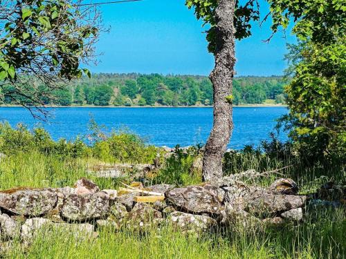 un arbre et des rochers devant un lac dans l'établissement 5 person holiday home in LOFTAHAMMAR, à Loftahammar