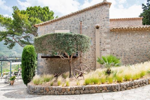 Un jardín fuera de Sa Pedrissa