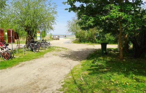 Jízda na kole v ubytování Seeschwalbe nebo okolí