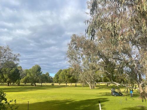 a park with trees and a green field at Town & Country Motor Inn in Forbes