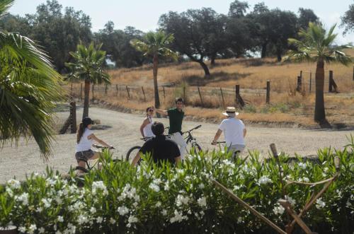 a group of people riding bikes on a road at La Dehesa de Don Pedro in Monesterio