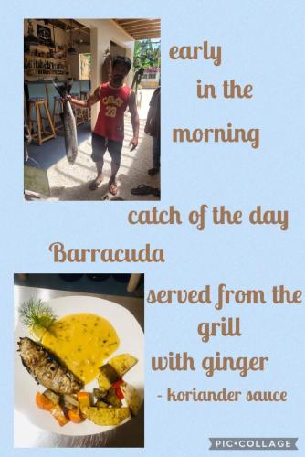 a boy standing next to a plate of food with a fish at Camotes-Hidden-Huts in San Francisco