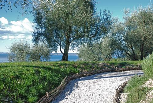 a path with trees and water in the background at Prati Palai in Bardolino