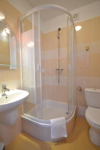 a bathroom with a shower and a toilet and a sink at Dworek Morski in Kołobrzeg
