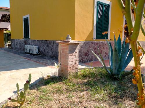 a yellow house with a cactus in front of it at il Cantuccio in Lucca