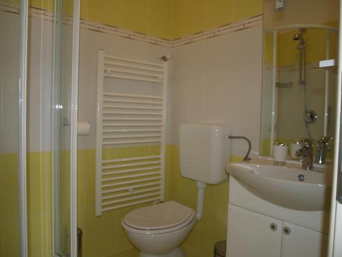a bathroom with a toilet and a sink at Apartment Pud Oreh in Roč