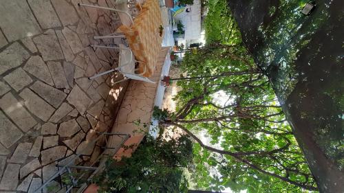 Apartment Zeljka – Photos 4