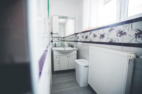 a bathroom with a sink and a toilet and a mirror at Apartma pri Boštjanu in Škofja Loka