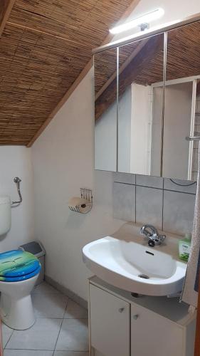 ein Badezimmer mit Waschbecken und Toilette in der Unterkunft Haus Veronika in Zamárdi