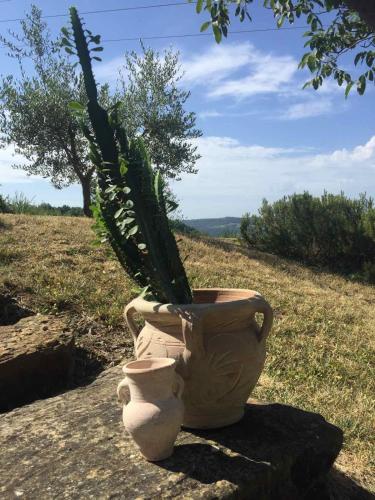a vase with a plant in it on a field at Fig&Lavender Apartment in Šmarje