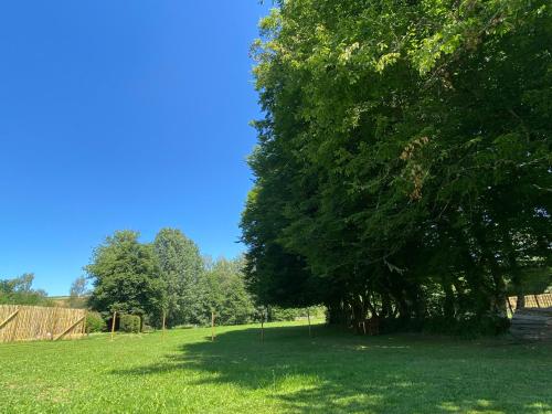 a large tree in the middle of a field at Le Héron - Gîte de charme clôturé, accès à la rivière - 6 ou 10 personnes in Fauvillers