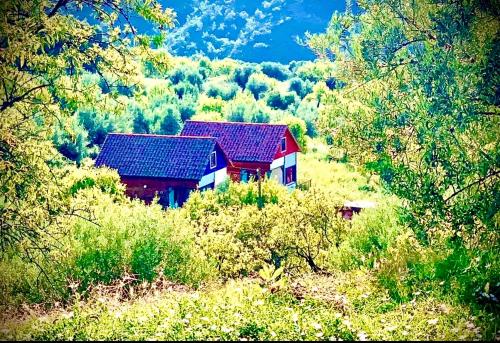 a house with solar panels on the side of a hill at Apartamentos la Jayma del Arte in Asque