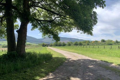 a tree on the side of a dirt road at Garbity Farmhouse - beautiful 6-bedroom Farmhouse with open fires in Fochabers