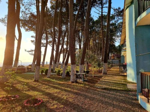 Gallery image of EVRIKA hotel Shekvetili in Shekvetili