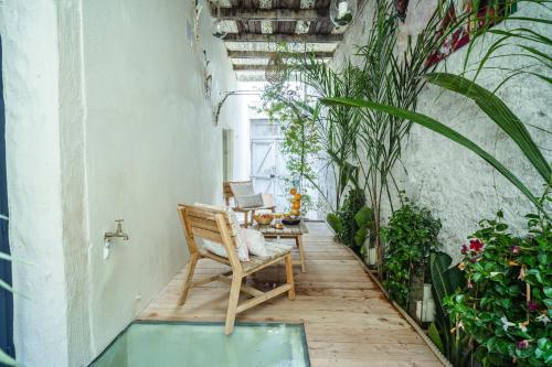 une chambre avec une chaise et quelques plantes dans l'établissement Airb&Sexy, à Béziers