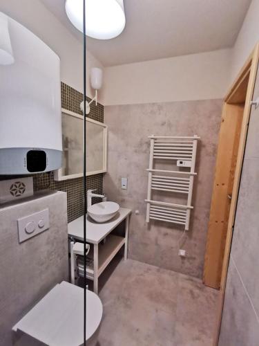 a small bathroom with a sink and a toilet at Apartament Art Mountain in Jaworki