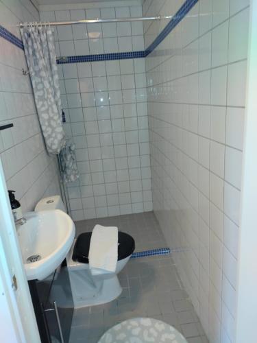 a bathroom with a toilet and a sink at Kvarngården Natur Resort in Byxelkrok