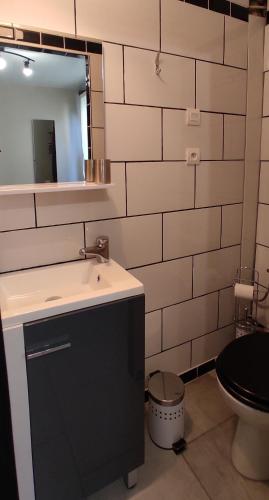 une salle de bain avec un lavabo et des toilettes dans l'établissement Bel appartement cosy indépendant, jolie terrasse, à Montpellier