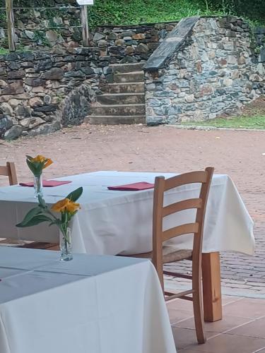 a table with a vase with flowers on it at Open Cascina in Colico