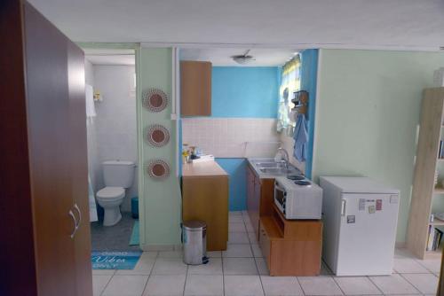 een kleine keuken met een wastafel en een toilet bij PRIVATE SEASIDE GUEST HOUSE... in Agia Marina Mikrolimanou
