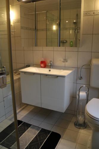 a bathroom with a white sink and a toilet at Gästehaus Rheinburgenblick in Kestert