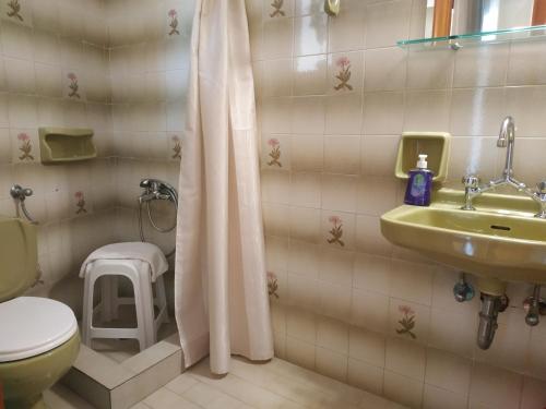 a bathroom with a toilet and a sink and a shower at Dimitra appartements in Argostoli